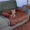 Pet Adobe Pet Adobe Furniture Protector Pet Cover with Bolster - Brown - 30x30.5 352193CXF - alternate 7